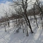 beautiful day for skiing