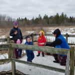 feeding the chicadees