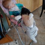 climbing into their chair