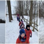 on a walk to the park