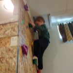 that's where they are supposed to climb...