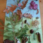 collage from outdoor scavenger hunt