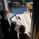 the squirrels get a lot of snacks