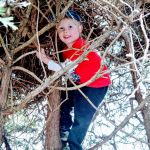 climbing in the hedge