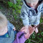 "sally" the salamandar