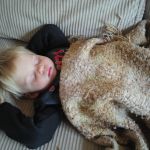 conked right out after long walks in the woods