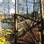 Spooky walk at Saunders Farm
