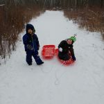 Isaac and Harrison - online learning??