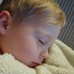 cat nap on the couch