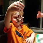 Isaac's Borax crystal