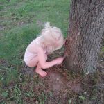 scraping caterpillar eggs