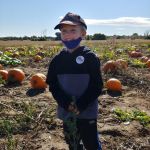 picking the pumpkins