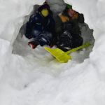 Harrison and Isaac built a quincy