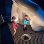 iceberg at the museum